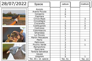 347eef37-60e0-4253-bbd7-7d819bc6a4fc