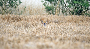 Ambiente Scrivia 2023