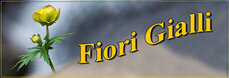 fiori-gialli