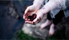 f285661c-e7dd-4dea-94a8-a7cd065c5238