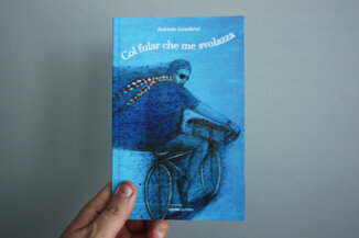 libro-roberto-gaudenzi