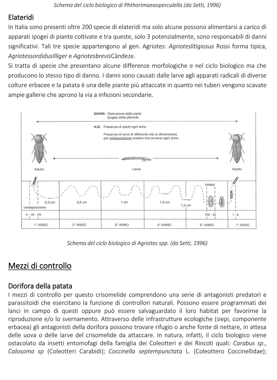 6fe5ceb8-792a-4efb-98e3-941819b5c8d4