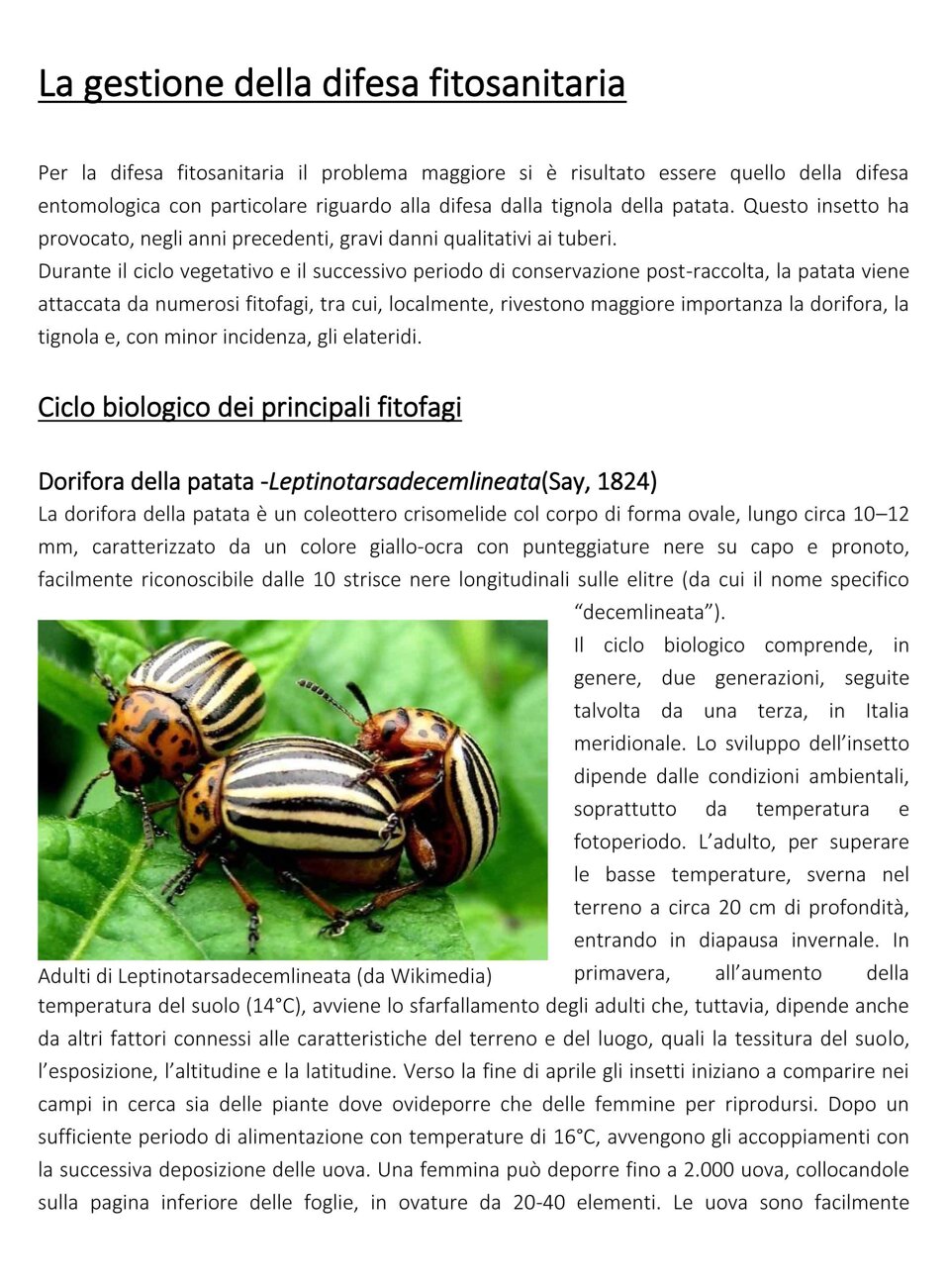 f34dee37-0a57-4f5a-91b2-8974e92eef11