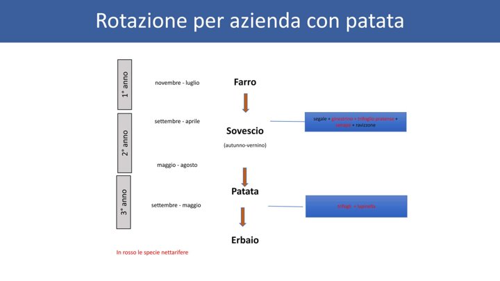 eaa722ec-89d9-438e-a042-4a7fd221e01c