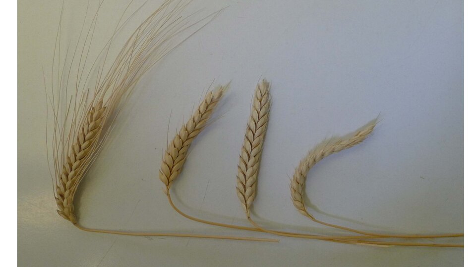 d000cac5-8468-450e-8172-a7e25cf55669