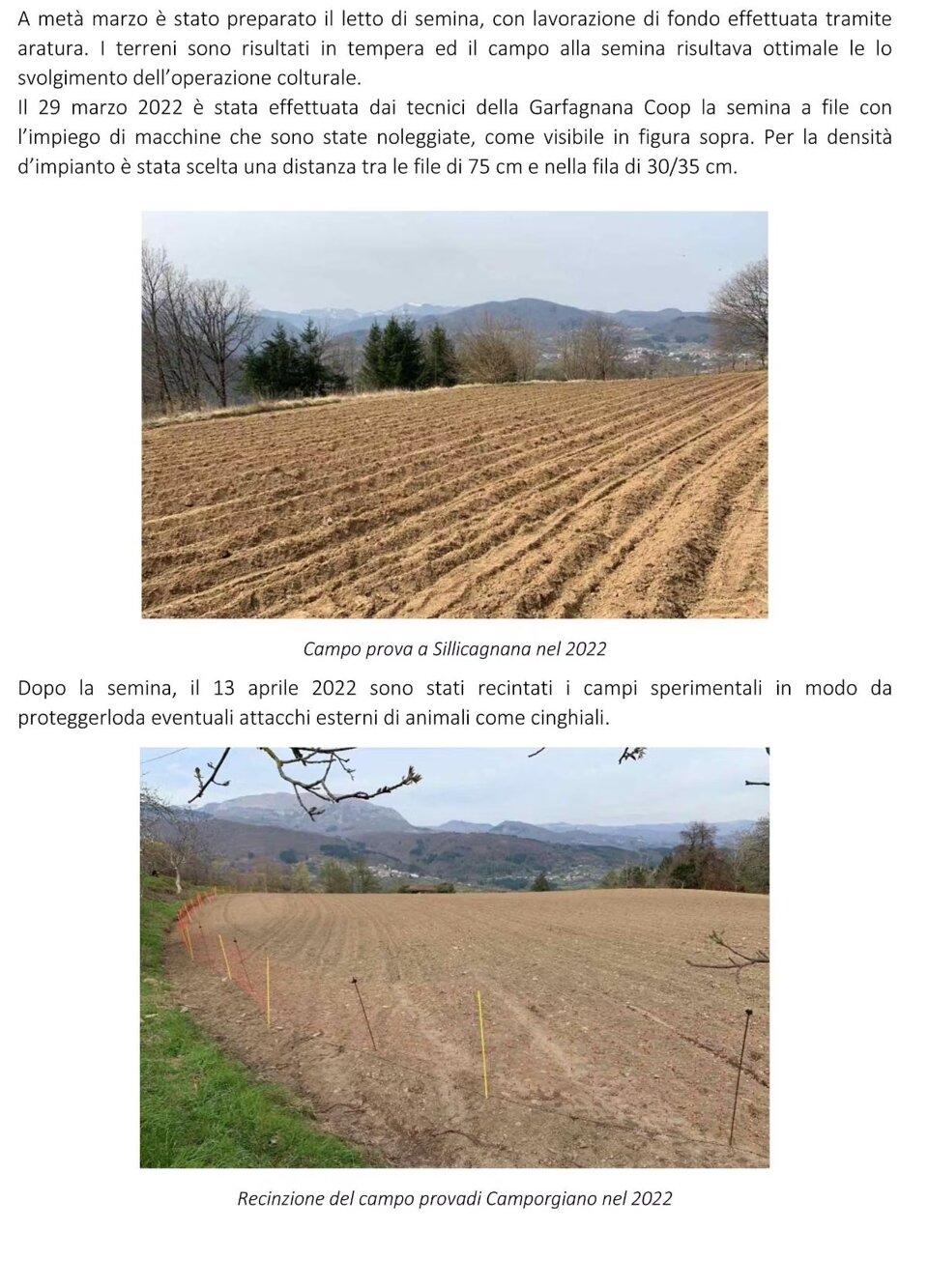 432fc615-d708-4f29-811e-7f95e222f376