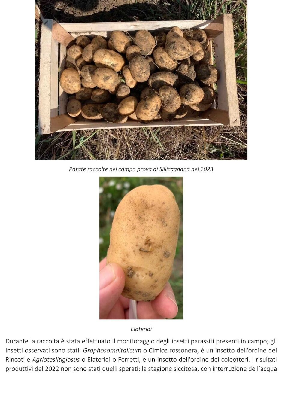 ec615fe3-3407-4462-9b63-69aa9700dabd