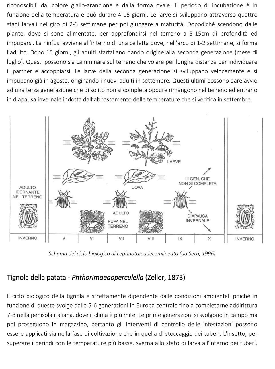 ba605e2b-6a45-4abd-b37d-84ab91ccd4c7