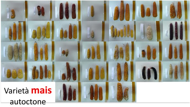 71a7383a-4103-4571-affc-1e73041b8f78