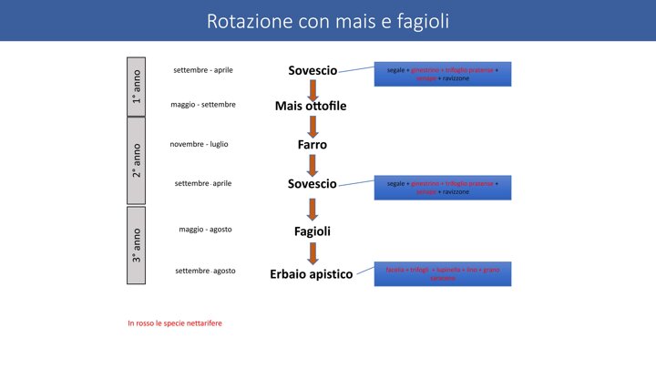 c03a3a03-7ce0-4eec-a68c-8e269507bc92