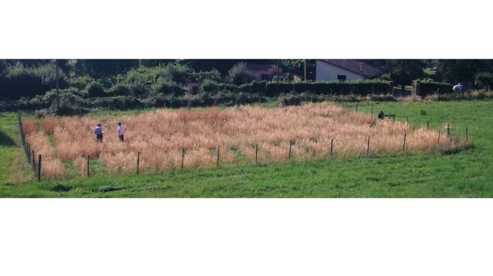 e763282c-c192-4e34-baab-713998bece1f