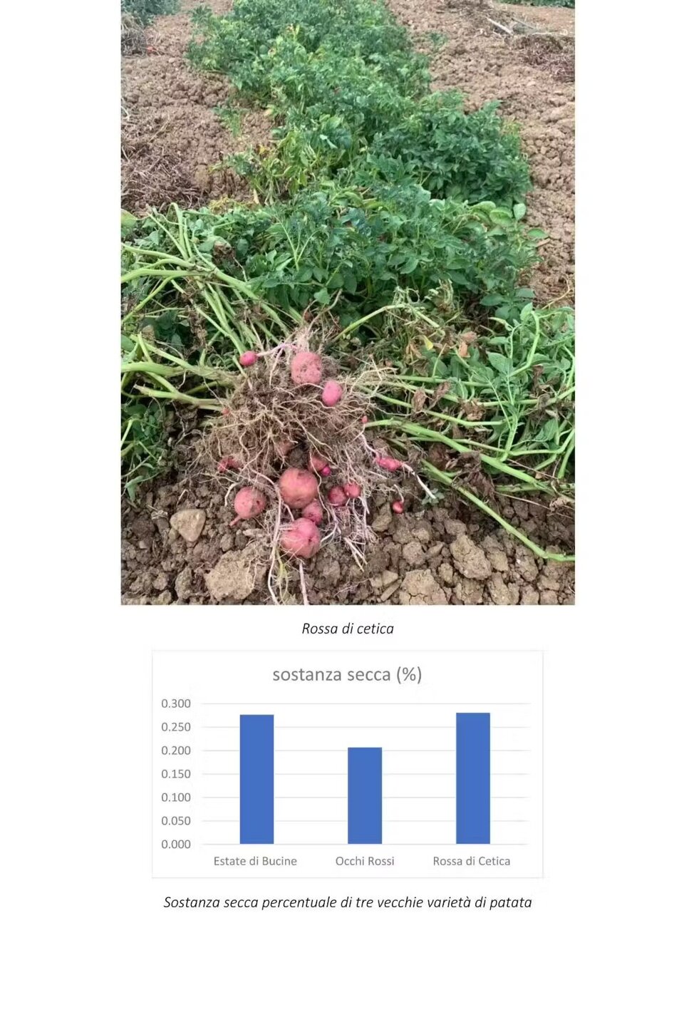 86416c08-02aa-44af-9d03-019631866a4f