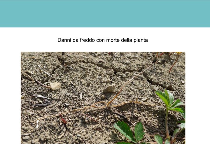 431afc07-409a-4178-a594-cad17f788b08