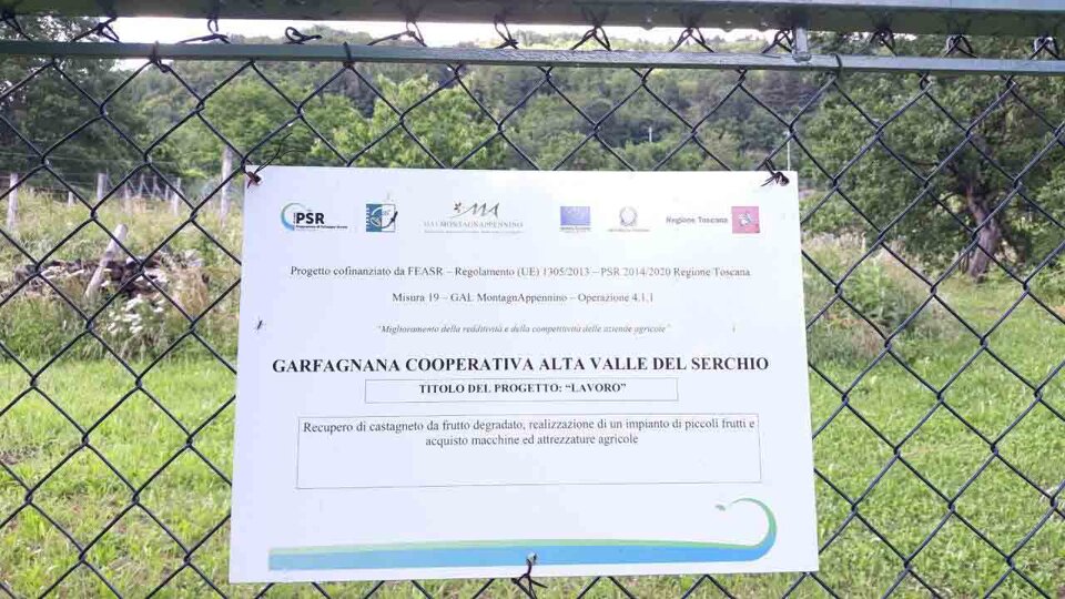 4cd4a3db-f9cb-4ca9-bbb8-0e7ea8f27cc1