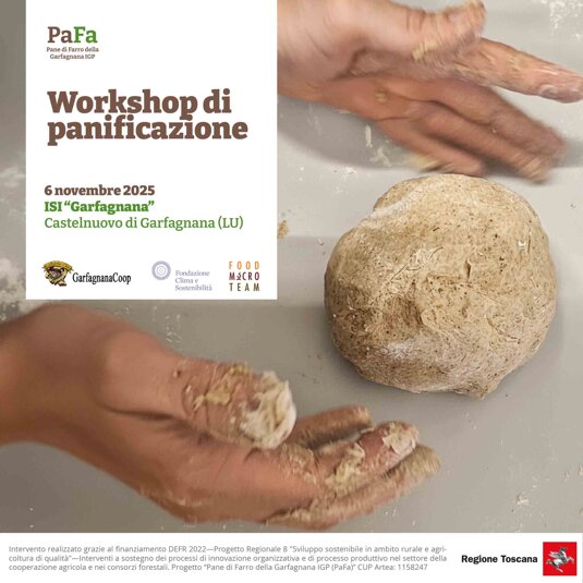 banner-evento-9.11.2025.jpeg banner-evento-9.11.2025.jpeg