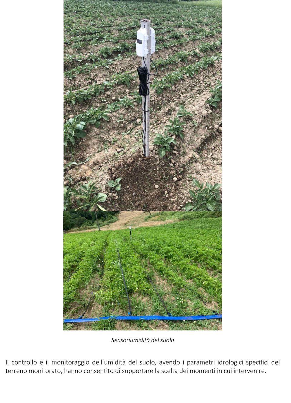 2681ef30-cc15-4cdc-96c7-9b40036d2a1d