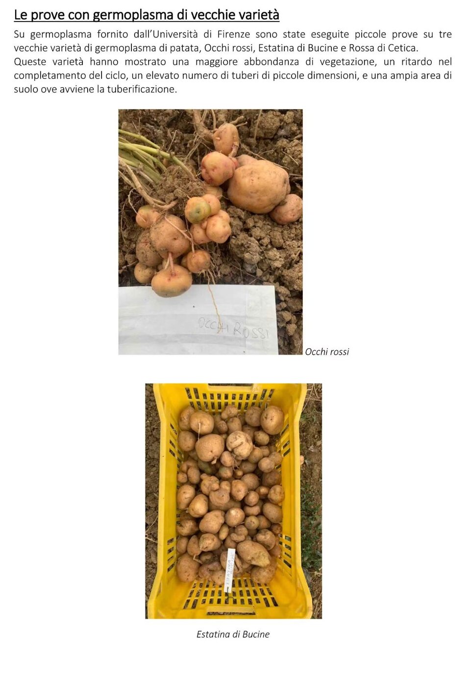 741e9eb8-bdb4-4140-9542-6516f40f8045