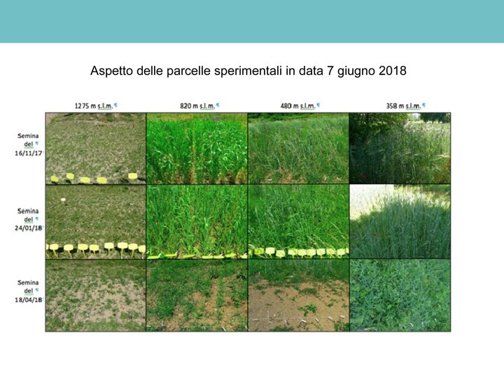 e7742bf8-eef4-48a8-9614-cc7e93b97bfa