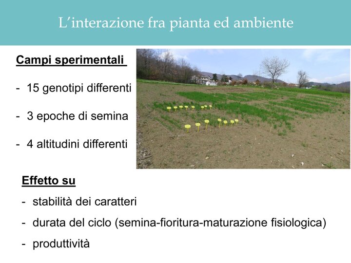 a5821760-0e00-4127-a031-bbd016f94da4