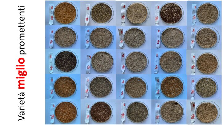 e713add3-d504-44fe-889b-c8f6c6bf5800