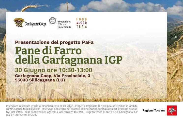 sdt-eventopafa_30.06.25.jpeg sdt-eventopafa_30.06.25.jpeg