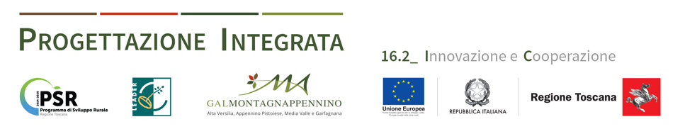 9c7f89ec-b6a0-4a3e-9a42-a28875c53a75