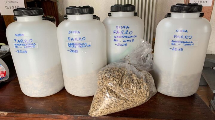 f6fad3fa-8bfc-4368-8ae9-459afe38faca