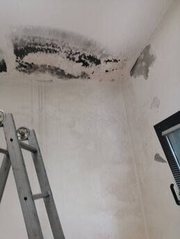 img_20210925_085549.jpeg img_20210925_085549.jpeg