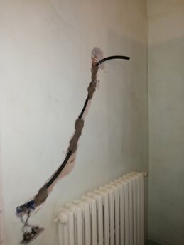 img_20210715_155811.jpeg img_20210715_155811.jpeg