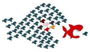 Il business degli acquisti collettivi Il business degli acquisti collettivi