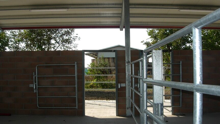 c2a06991-3bfb-4696-81fa-aeaaaee5a1f2