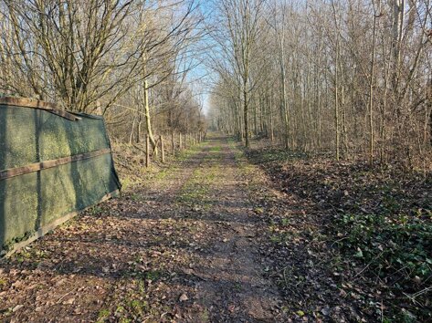 d53efe4b-7229-4bf8-8f05-65d7f52f67e3