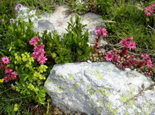 719c34a9-e58c-4f2d-99ae-c15ddcbcfe88 719c34a9-e58c-4f2d-99ae-c15ddcbcfe88