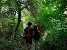 9d3d63bd-8380-4cde-a3fb-546ed74feefc