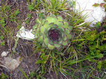 4e4f9a34-d0f6-49b3-9040-ba903548094c 4e4f9a34-d0f6-49b3-9040-ba903548094c