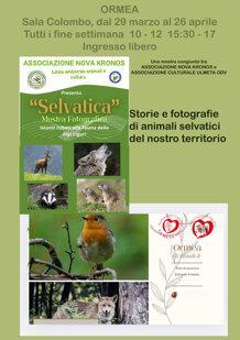 c9cbac24-9d67-4680-9124-25a9d8aa722f c9cbac24-9d67-4680-9124-25a9d8aa722f