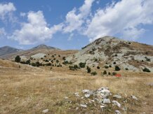 d0eb7e81-468a-4fc5-8b20-aaaf8237fa7a d0eb7e81-468a-4fc5-8b20-aaaf8237fa7a