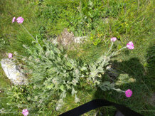 0121bbf9-51e2-4b60-b1fb-cc2e2cb9638d 0121bbf9-51e2-4b60-b1fb-cc2e2cb9638d