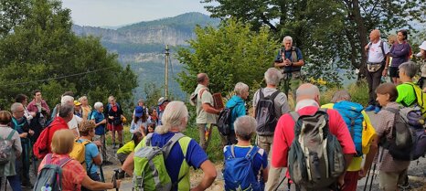 89e33747-ee35-4584-a21b-e0bcd28f11cc