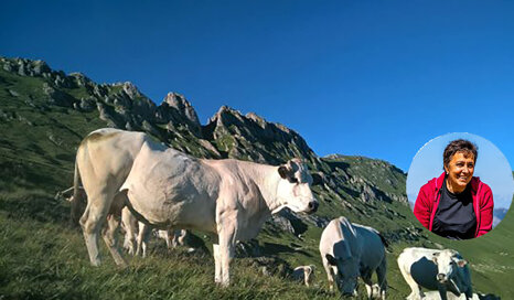 d4db16f0-255d-44bc-bff7-2fbf9ac11690