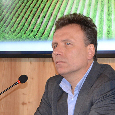 55e13cc8-b49c-407e-852f-d9f778982542