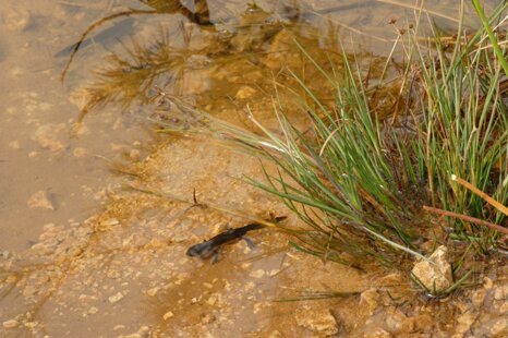 3d927536-85ad-4bff-9328-3c04101e7a4a 3d927536-85ad-4bff-9328-3c04101e7a4a