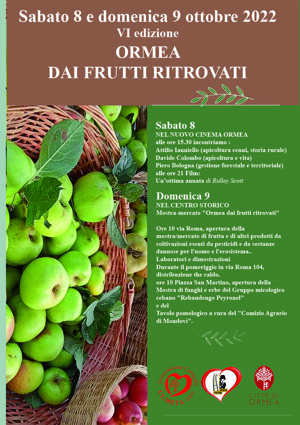 33611753-d5c5-4e8d-8da8-d21a4aa0b207