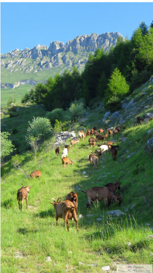 98bd8395-a626-4eb3-8fc4-f1092307fb45