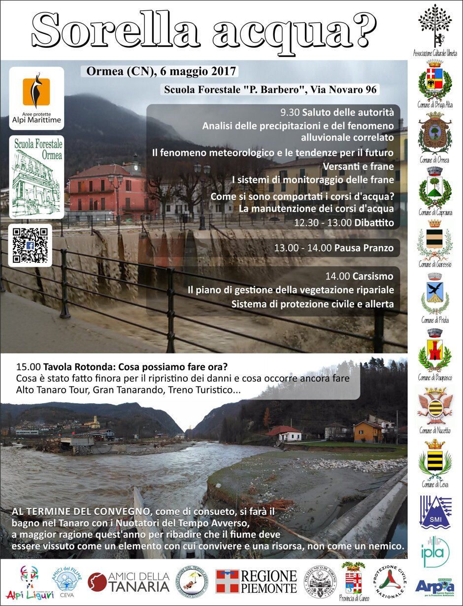 locandina sorella acqua.jpeg