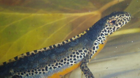 1991b8be-b4fd-40c5-9d8c-e294621fb862 1991b8be-b4fd-40c5-9d8c-e294621fb862