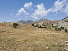 2562a0ec-0661-4df1-881f-3df17ff7eafa 2562a0ec-0661-4df1-881f-3df17ff7eafa