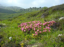 34d4d2cc-92c6-43b2-9b49-ce68cba50078 34d4d2cc-92c6-43b2-9b49-ce68cba50078