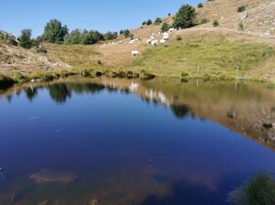 86b5521d-c58f-4c11-b4ed-e6cf86f87446 86b5521d-c58f-4c11-b4ed-e6cf86f87446