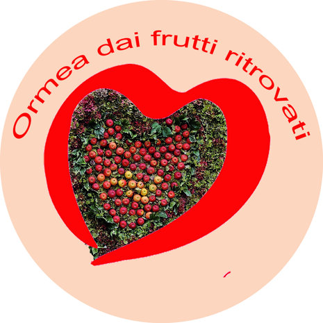 90114400-096c-45a9-9f5c-21ae7b669fb8 90114400-096c-45a9-9f5c-21ae7b669fb8